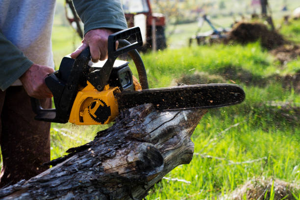 Best Emergency Tree Removal  in Meadowlakes, TX